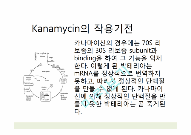 [의학,약학] 약에 관한 판례 - 항생제 관련 판례.pptx